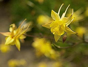 《黑相集：心中魔》现已开启预购 国区售价198元